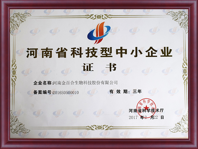  河南省科技型中小企业